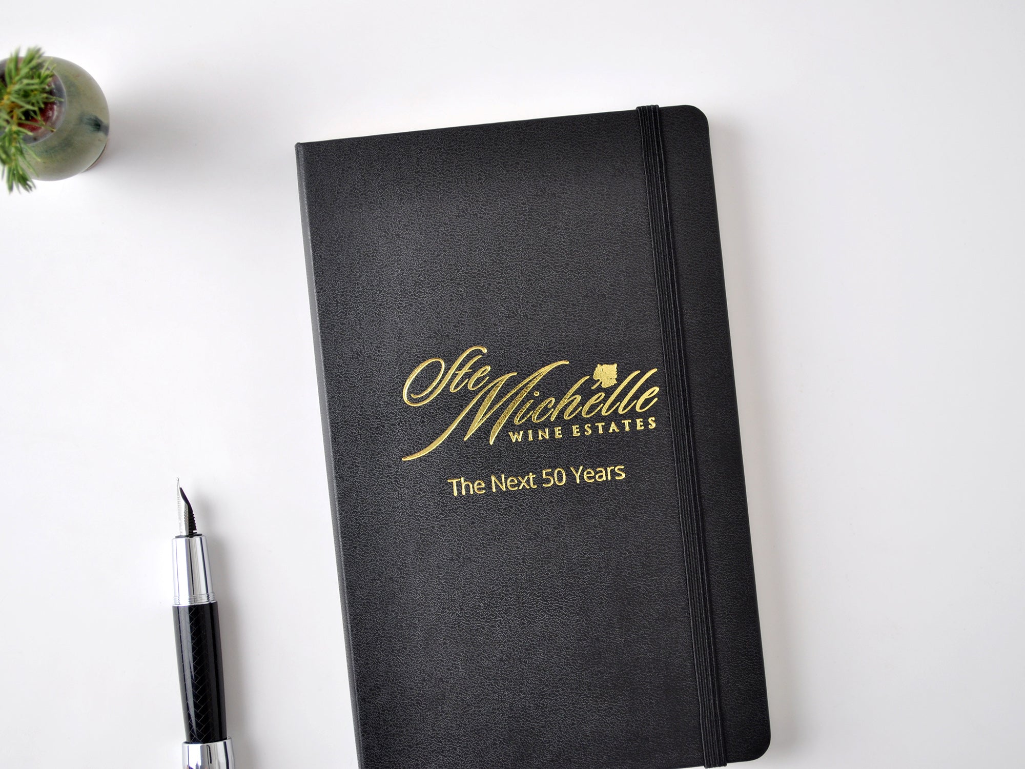 Classic Moleskin Notebook — Twenty Stories